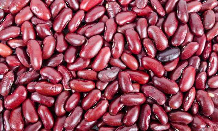 Beans - Best Cantaloupe Companion Plant