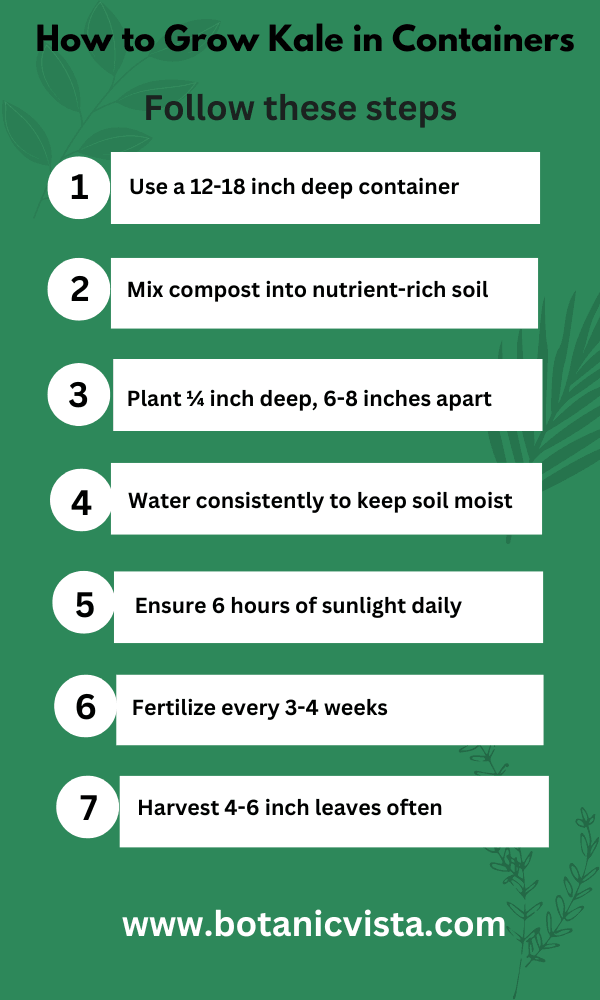 Infographic - How to Grow Kale in Containers