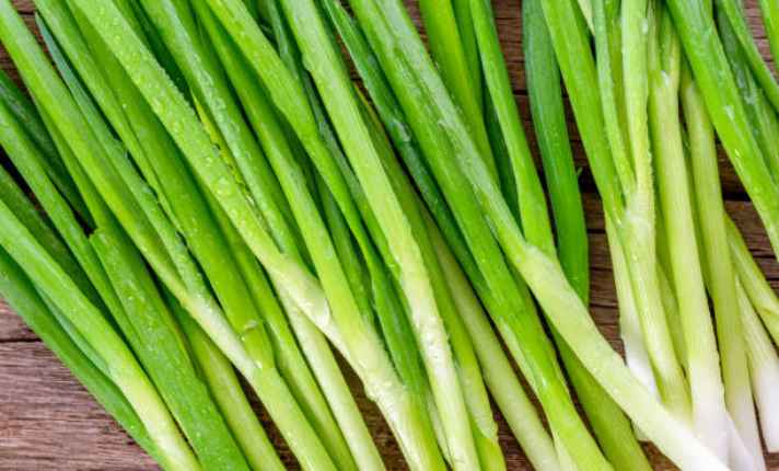 Onion Leaves Harvesting