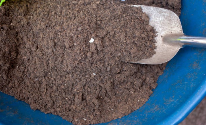 Preparing the Perfect Potting Mix