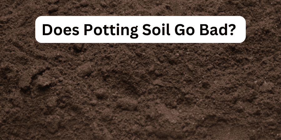 Does Potting Soil Go Bad?