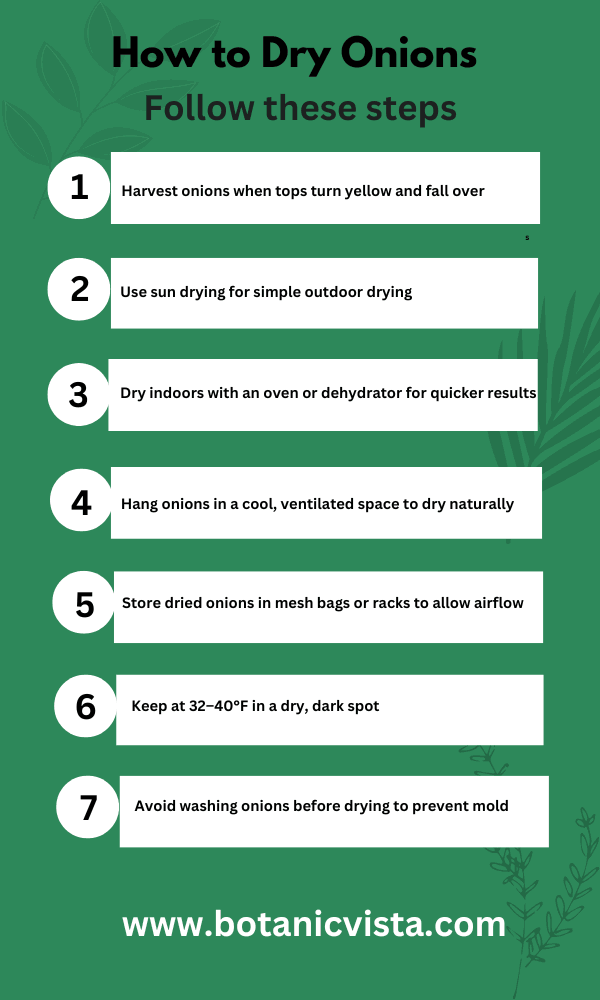 Infographic - How to Dry Onions