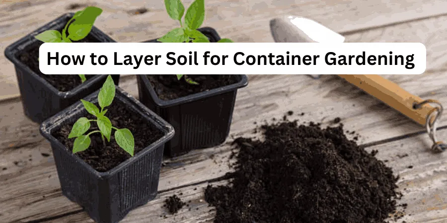 How to Layer Soil for Container Gardening - 4 Easy Steps