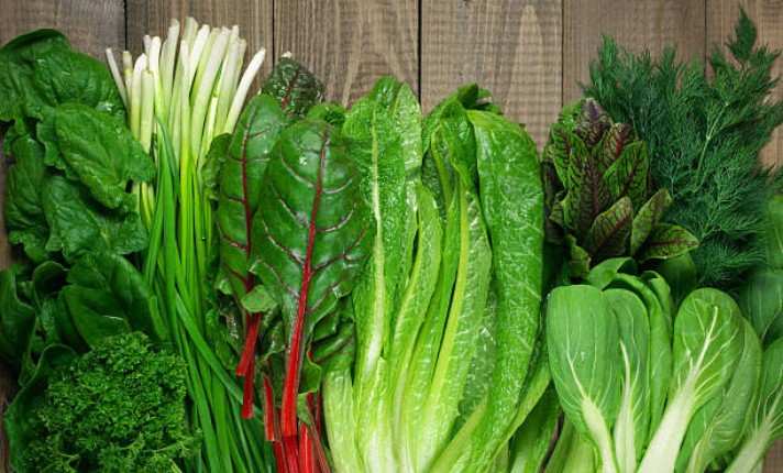 Leafy Green Vegetable