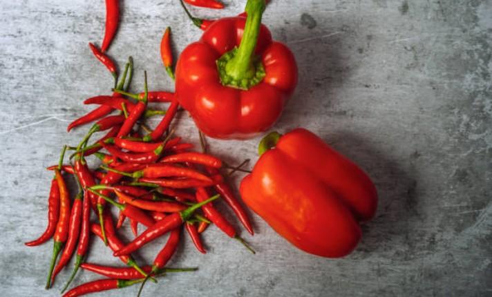 Sweet and Hot Pepper in Raised Garden bed