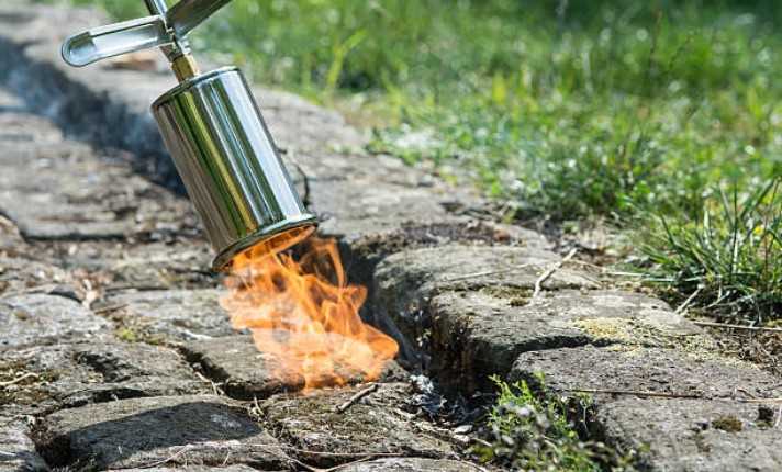 Weed Control Through Flame Weeding