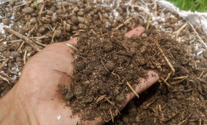 Manure in Vegetable Garden