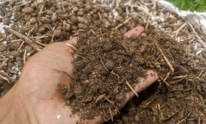 Manure in Vegetable Garden 