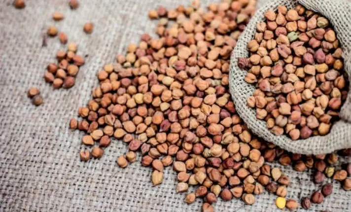 Raw Desi chickpeas, small and brown legumes